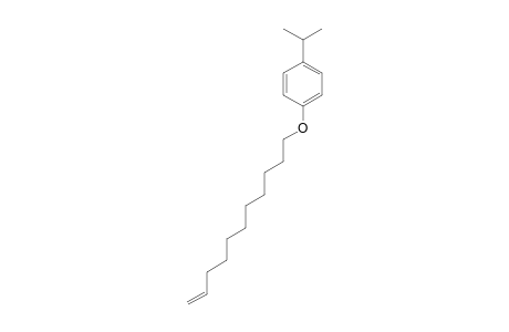 p-cumenyl 10-undecenyl ether