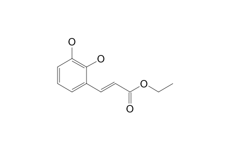 (E)-3-(2,3-dihydroxyphenyl)-2-propenoic acid ethyl ester