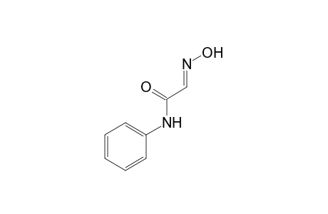 glyoxylanilide, 2-oxime