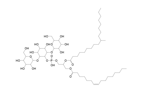 Ac2PIM2 18:0(methyl)_16:1