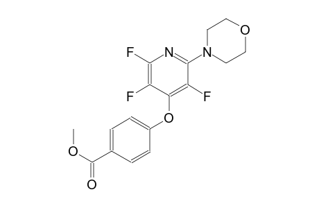 benzoic acid, 4-[[2,3,5-trifluoro-6-(4-morpholinyl)-4-pyridinyl]oxy]-, methyl ester