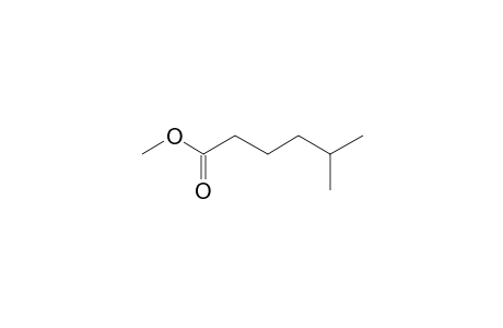 Methyl 5-methylhexanoate