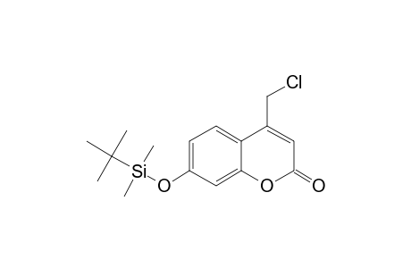 4-(Chloromethyl)-7-hydroxy-2H-chromen-2-one, tert-butyldimethylsilyl ether