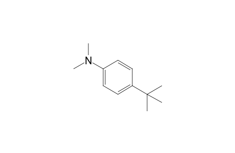 p-tert-BUTYL-N,N-DIMETHYLANILINE