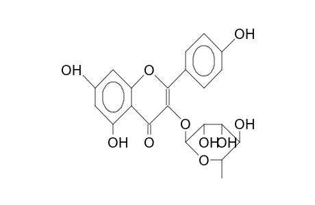 KAEMPFEROL-3-RHAMNOPYRANOSIDE