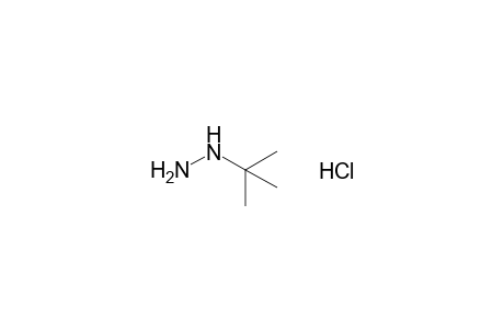 tert-butylhydrazine, monohydrochloride