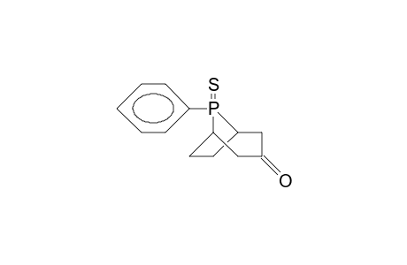 8-EQU-PHENYL-8-THIOXO-8-PHOSPHABICYCLO-[3.2.1]-OCTAN-3-ON