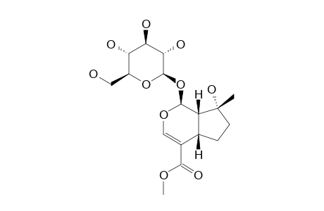 8-EPI MUSSAENOSIDE