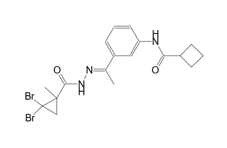 N-(3-{(1E)-N-[(2,2-dibromo-1-methylcyclopropyl)carbonyl]ethanehydrazonoyl}phenyl)cyclobutanecarboxamide