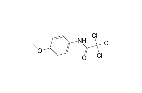 2,2,2-trichloro-p-acetanisidide