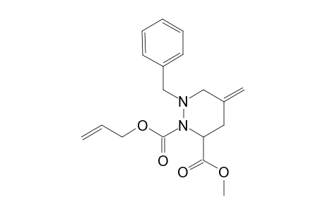 2-(Alloxycarbonyl)-1-benzyl-5-methylenehexahydro-3-pyridazinecarboxylic acid methyl ester