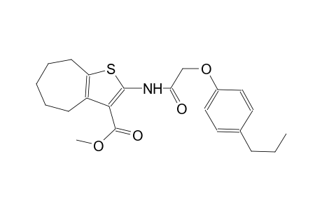 methyl 2-{[(4-propylphenoxy)acetyl]amino}-5,6,7,8-tetrahydro-4H-cyclohepta[b]thiophene-3-carboxylate