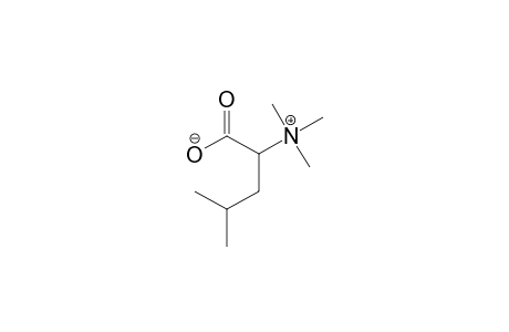 LEUCINE-BETAINE