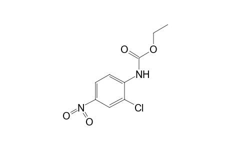 2-chloro-4-nitrocarbanilic acid, ethyl ester