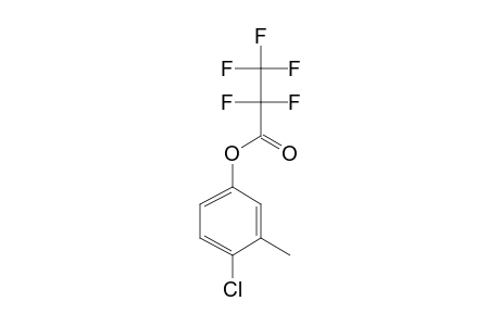 4-Chloro-3-methylphenol, pentafluoropropionate