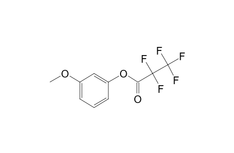 3-Methoxyphenol, pentafluoropropionate