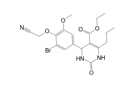 ethyl 4-[3-bromo-4-(cyanomethoxy)-5-methoxyphenyl]-2-oxo-6-propyl-1,2,3,4-tetrahydro-5-pyrimidinecarboxylate