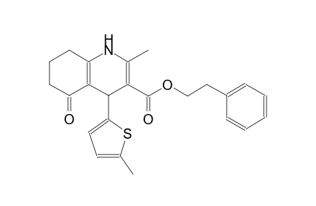 5-keto-2-methyl-4-(5-methyl-2-thienyl)-4,6,7,8-tetrahydro-1H-quinoline-3-carboxylic acid phenethyl ester