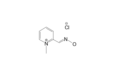 Pralidoxime chloride