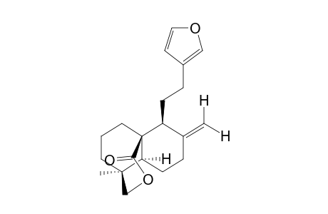 15,16-epoxy-19-hydroxylabda-8(20), 13(16), 14-trien-17-oic acid, delta-lactone