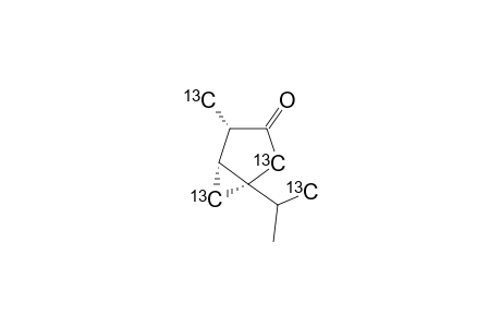 LABELED-BETA-THUJONE