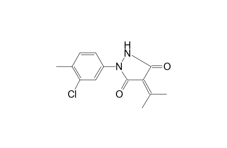 1-(3-Chloro-4-methylphenyl)-4-(1-methylethylidene)-3,5-pyrazolidinedione