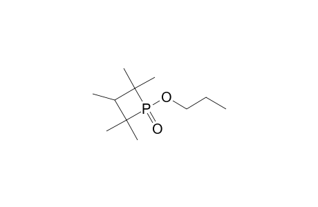 2,2,3,4,4-Pentamethyl-1-propoxyphosphetane 1-oxide