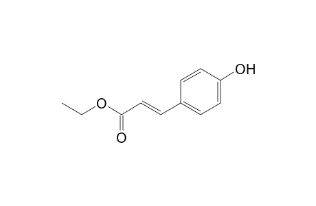 p-Hydroxycinnamicacid,ethyl ester