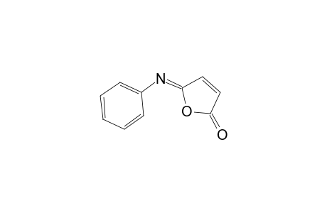 anti-N-Phenyl-maleisoimide