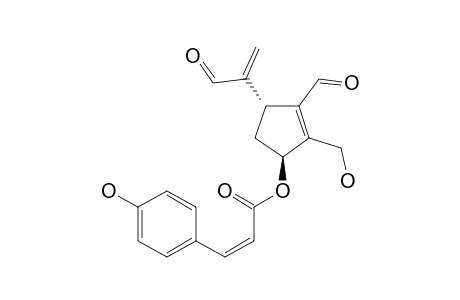 LUZONIDIAL-B