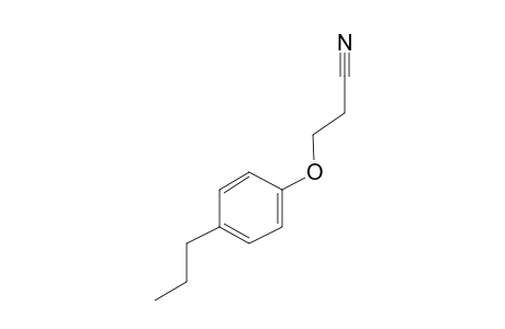 3-(4-Propylphenoxy)propanenitrile