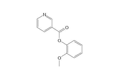 nicotinic acid, o-methoxyphenyl ester