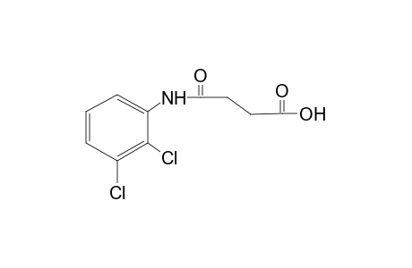 2',3'-dichlorosuccinanilic acid