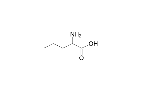 norvaline