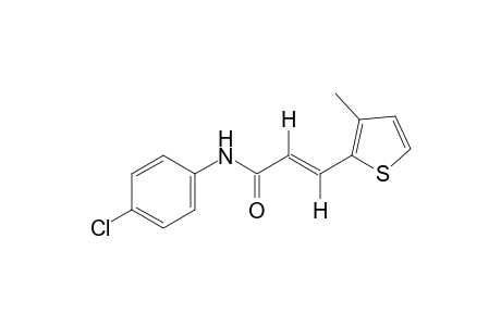 trans-4'-chloro-3-methyl-2-thiopheneacrylanilide