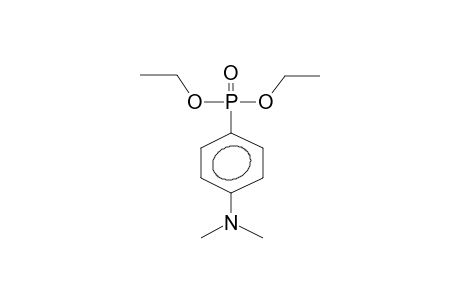 O,O-DIETHYL(PARA-DIMETHYLAMINOPHENYL)PHOSPHONATE