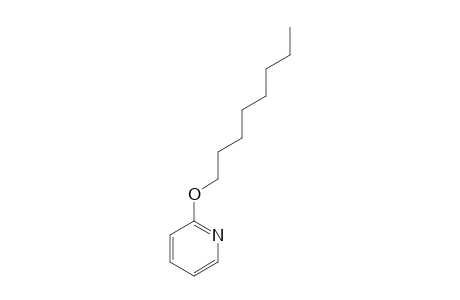 2-(octyloxy)pyridine