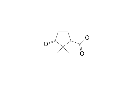 2,2-Dimethyl-3-oxocyclopentanecarboxylic acid