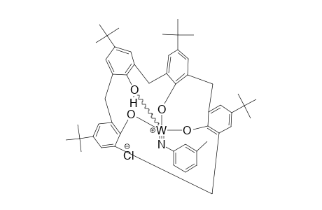 M-TOLUIDINE-ADDUCT;[W(NC6H4CH3)-(TERT.-BUCALIX-H)](+)CL(-)