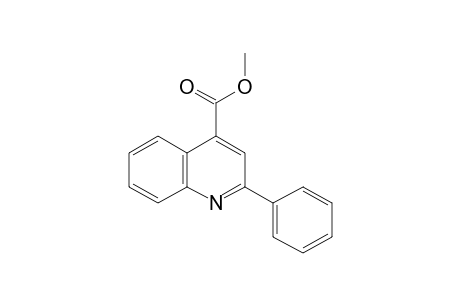 2-phenyl-4-quinolinecarboxylic acid, methyl ester