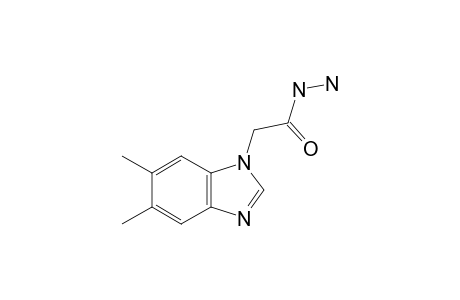 5,6-dimethyl-1-benzimidazoleacetic acid, hydrazide