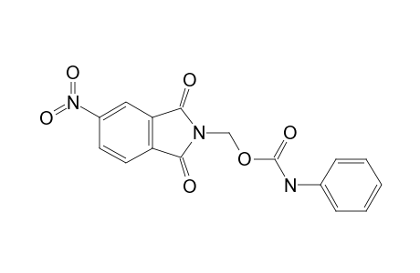 N-(hydroxymethyl)-4-nitrophthalimide carbanilate