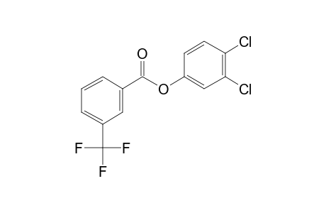 3-Trifluoromethylbenzoic acid, 3,4-dichlorophenyl ester