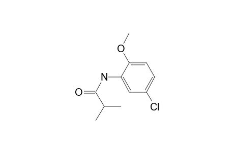 Isobutyramide, N-(5-chloro-2-methoxyphenyl)-