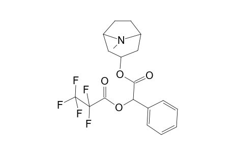 dl-Homatropine pentafluoropropionate