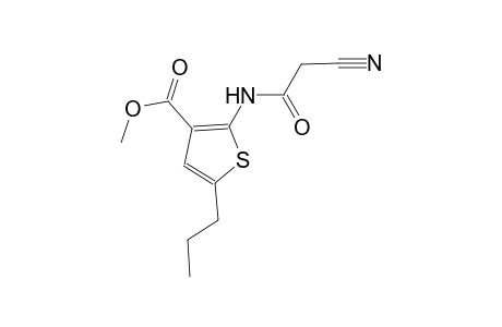 methyl 2-[(cyanoacetyl)amino]-5-propyl-3-thiophenecarboxylate