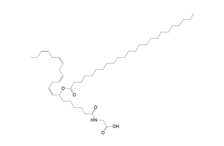 NAGly 24:0/20:4