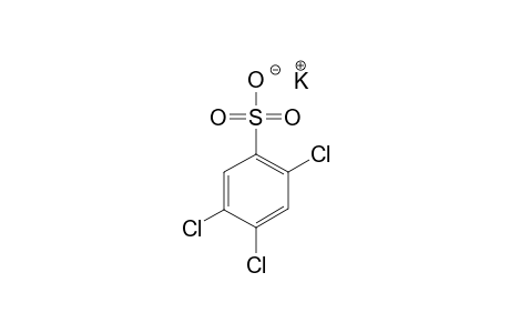 2,4,5-Trichlorobenzenesulfonic acid potassium salt
