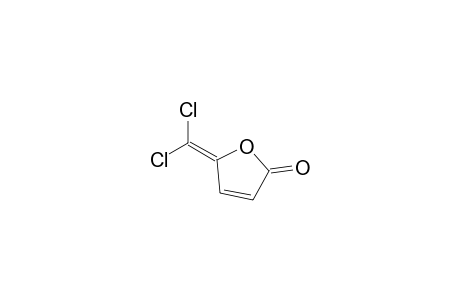 5-(dichloromethylidene)furan-2-one