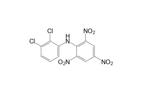 2',3'-dichloro-2,4,6-trinitrodiphenylamine